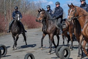 Ćwiczenia policji konnej i mundurowych z oddziału