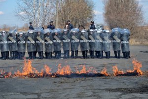 Ćwiczenia policji konnej i mundurowych z oddziału