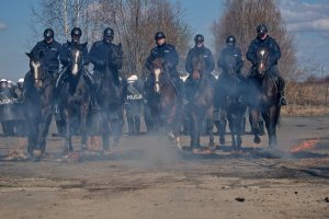 Ćwiczenia policji konnej i mundurowych z oddziału