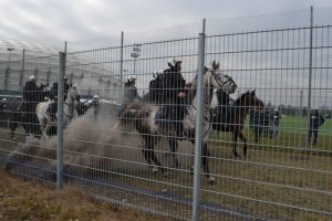 Policjanci i konie podczas ćwiczeń