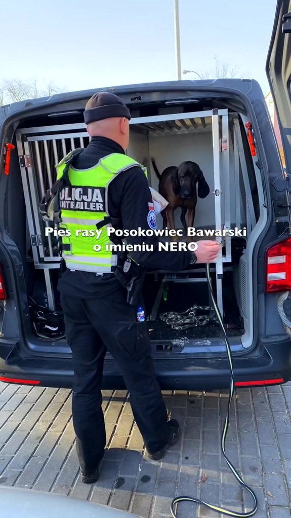 Policjant otwiera klatkę do przewożenia psów służbowych w samochodzie, widać w niej psa.