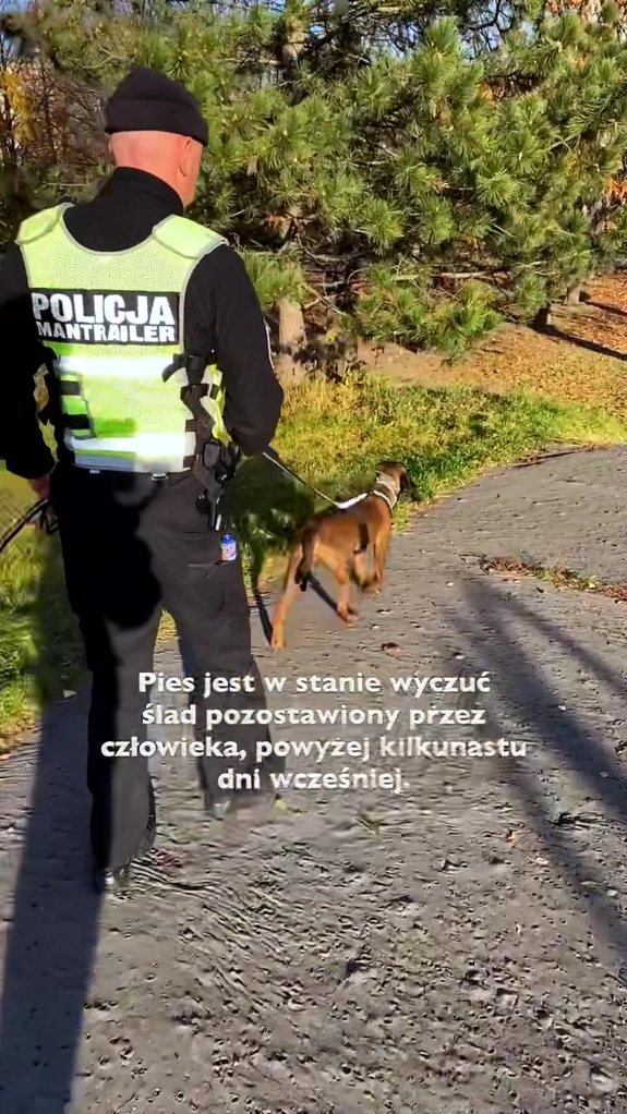 Policjant prowadzi na smyczy psa służbowego.
