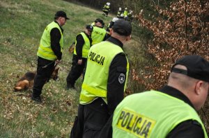 policjanci i policjanci z psami tropiącymi przeszukujący teren