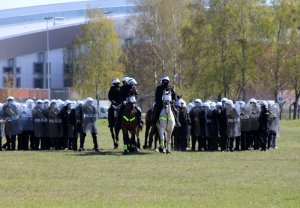 Wspólne ćwiczenia Policji konnej i policjantów OPP