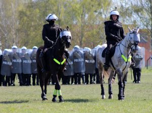 Wspólne ćwiczenia Policji konnej i policjantów OPP