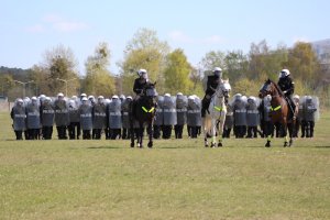 Wspólne ćwiczenia Policji konnej i policjantów OPP