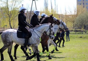 Wspólne ćwiczenia Policji konnej i policjantów OPP