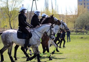 Wspólne ćwiczenia Policji konnej i policjantów OPP