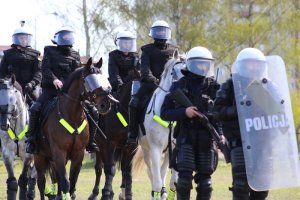 Wspólne ćwiczenia Policji konnej i policjantów OPP