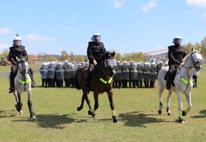 Wspólne ćwiczenia Policji konnej i policjantów OPP