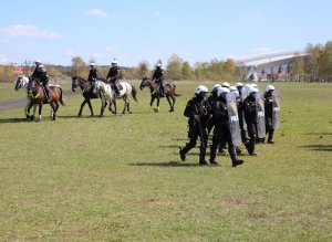 Wspólne ćwiczenia Policji konnej i policjantów OPP