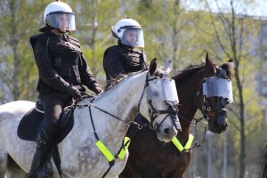 Wspólne ćwiczenia Policji konnej i policjantów OPP