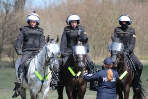 Wspólne ćwiczenia Policji konnej i policjantów OPP