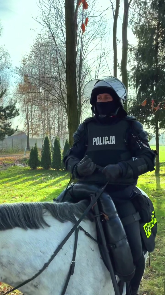 Policjant w pełnym rynsztunku na koniu.