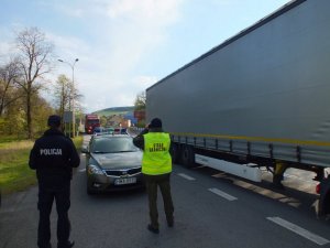 Ćwiczenia w ramach Szczytu NATO i Światowych Dni Młodzieży