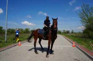 VIII Marszobieg Prewencji Policji o puchar Komendanta Wojewódzkiego Policji w Katowicach #6