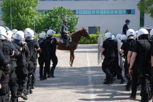 Ćwiczenia policyjnych jeźdźców w katowickim oddziale prewencji #6