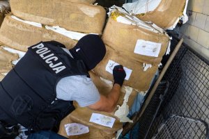 policjant i zabezpieczony tytoń