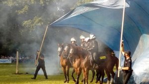 Policyjne pokazy atrakcją majówki konnej w Pszczynie #1