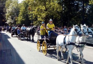 Policyjne pokazy atrakcją majówki konnej w Pszczynie #3