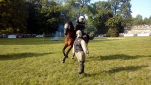 Policyjne pokazy atrakcją majówki konnej w Pszczynie #11