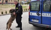 Iwo - pies służbowy z lęborskiej komendy odnalazł zaginionego mężczyznę