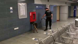 Błyskawicznie ustaleni i zatrzymani za fałszywe alarmy bombowe #7