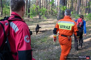 Międzynarodowy Dzień Dziecka Zaginionego