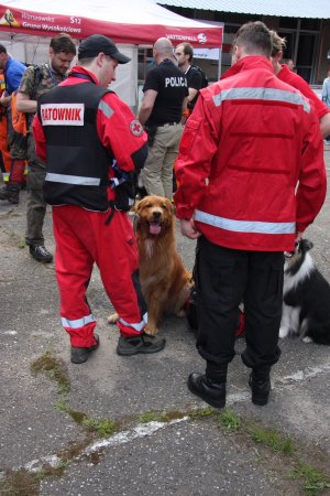 Międzynarodowy Dzień Dziecka Zaginionego - ćwiczenia poligonowe #6