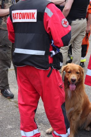 Międzynarodowy Dzień Dziecka Zaginionego - ćwiczenia poligonowe #7