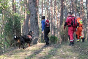 Międzynarodowy Dzień Dziecka Zaginionego - ćwiczenia poligonowe #18