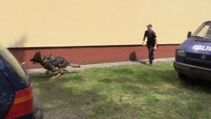 policjant puścił psa