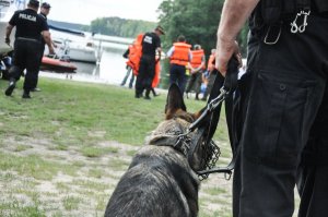 Ćwiczenia policjantów i funkcjonariuszy pozostałych służb na Jeziorze Sławskim #5