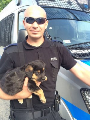 policjant i pies #3