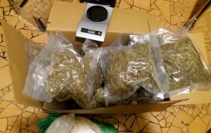 marihuana w workach i waga elektroniczna