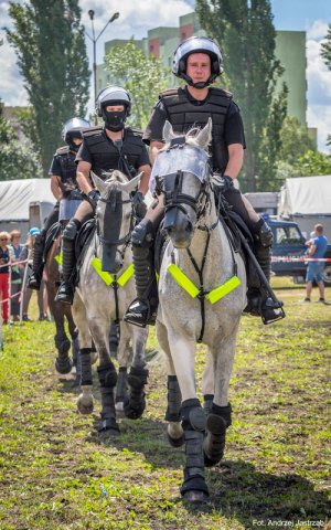 Policyjne konie na zawodach Sedina Horse Show 2016