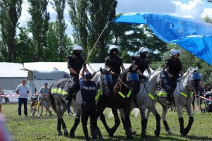 Policyjne konie na zawodach Sedina Horse Show 2016