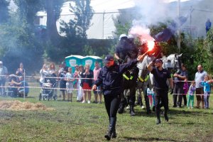 Policyjne konie na zawodach Sedina Horse Show 2016