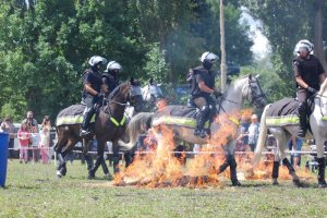 Policyjne konie na zawodach Sedina Horse Show 2016