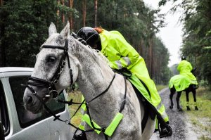 Patrole konne pierwszy raz w Kostrzynie