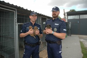 policjanci ze szczeniakami