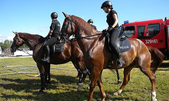 Służba w Zespole Konnym - to nie tylko praca