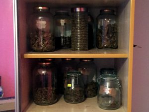 Zabezpieczona marihuana
