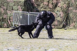 MSPO 2016 pod znakiem służb mundurowych