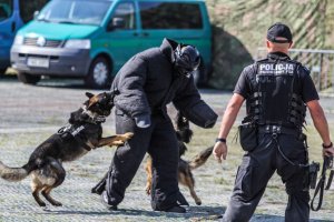 MSPO 2016 pod znakiem służb mundurowych