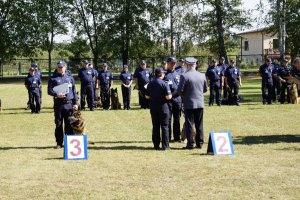 W XVI Kynologicznych Mistrzostwach Policji najlepszy był Ibej