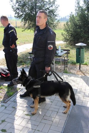 Pluton Przewodników Psów Służbowych Komendy Wojewódzkiej Policji w Poznaniu