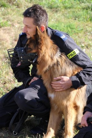 Pluton Przewodników Psów Służbowych Komendy Wojewódzkiej Policji w Poznaniu