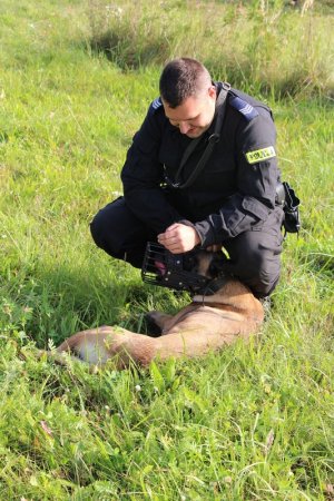 policjanci z Plutonu Przewodników Psów Służbowych Komendy Wojewódzkiej Policji w Poznaniu