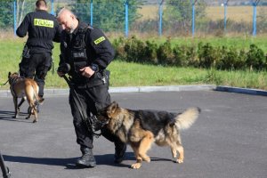 policjanci z Plutonu Przewodników Psów Służbowych Komendy Wojewódzkiej Policji w Poznaniu